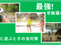 ブヨ、ダニ、ハチに刺されたらどうする？対策と最強の塗り薬を紹介！