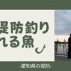 夏の愛知県の堤防で釣れる魚