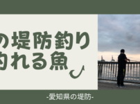 夏の愛知県の堤防で釣れる魚
