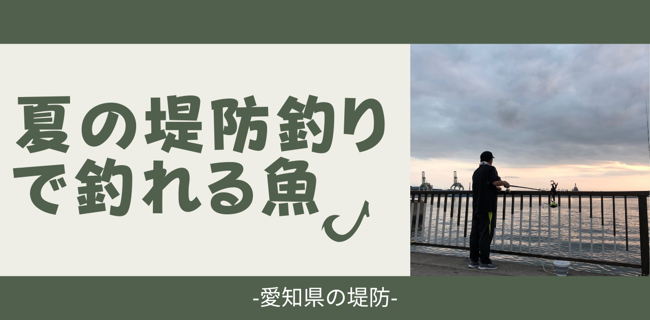 夏の愛知県の堤防で釣れる魚